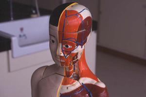 久米川エリアでお勧めの歯医者です