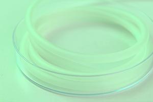 北海道帯広市の内視鏡クリニック