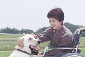 伊勢市で信頼できる口腔外科クリニックを見つけるための完全ガイド