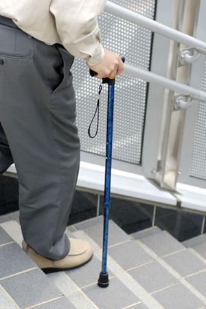 大牟田市の家族に優しい歯科医院ガイド！定期検診から虫歯予防まで徹底サポート