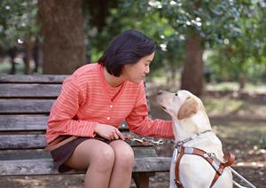 津山市にある治療技術の高い歯科について
