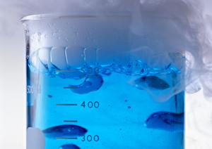 虎ノ門で選ばれる内科クリニックの秘密とは？信頼と利便性を両立した医療サービス